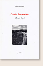 Camin descaminat